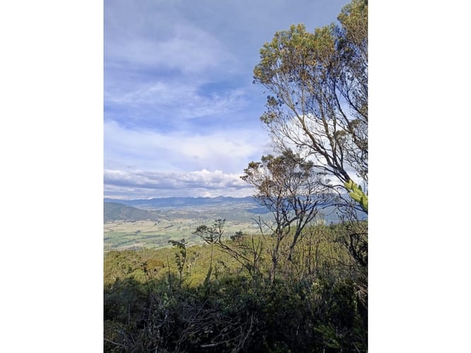 Lote en venta en San Gabriel, Sopó, 17000 m² · foto 9 de 10