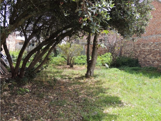 Lote en venta en Santa Cruz, Cajicá, 165 m² · foto 3 de 24