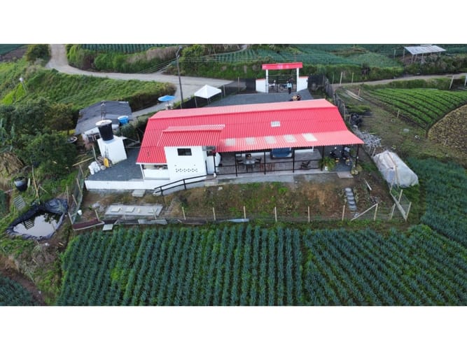 Finca en venta en La Bella, Pereira, 220 m² · foto 3 de 16