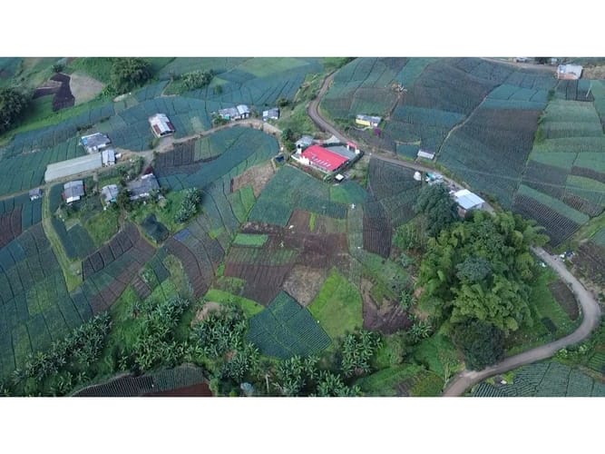 Finca en venta en La Bella, Pereira, 220 m² · foto 5 de 16
