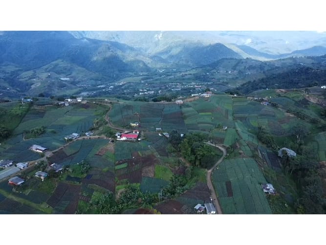 Finca en venta en La Bella, Pereira, 220 m² · foto 6 de 16