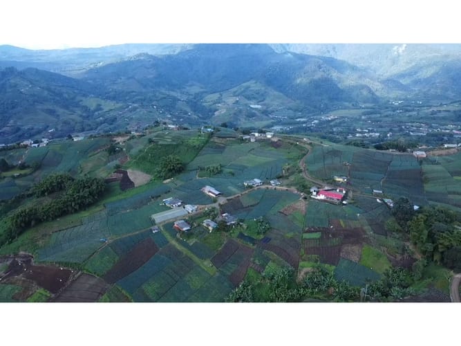 Finca en venta en La Bella, Pereira, 220 m² · foto 7 de 16