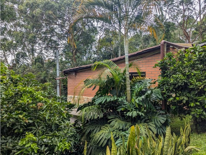 Casa de 7 alcobas en venta en Los Balsos, Medellín, 300 m² · foto 5 de 24