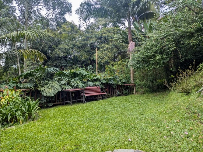 Casa de 7 alcobas en venta en Los Balsos, Medellín, 300 m² · foto 10 de 24