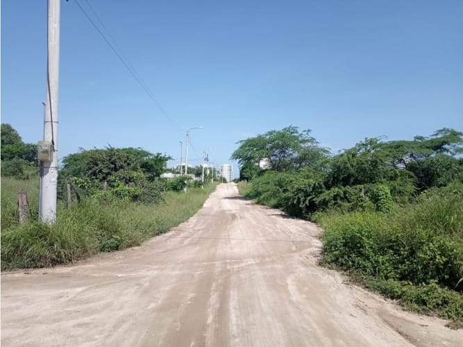 Lote en venta en Bello Horizonte, Santa Marta, 500 m² · foto 7 de 15