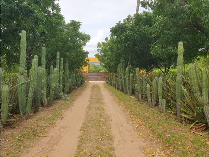 Finca en venta en Corregimiento De Bonda, Santa Marta, 400 m² · foto 2 de 24