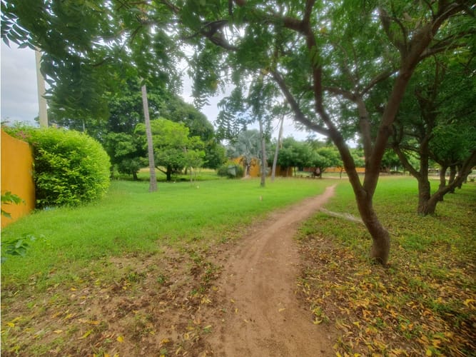 Finca en venta en Corregimiento De Bonda, Santa Marta, 400 m² · foto 3 de 24