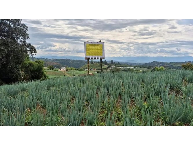 Lote en venta en La Bella, Pereira, 2000 m² · foto 2 de 12