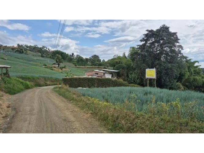 Lote en venta en La Bella, Pereira, 2000 m² · foto 3 de 12