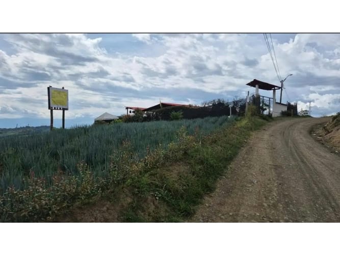 Lote en venta en La Bella, Pereira, 2000 m² · foto 4 de 12