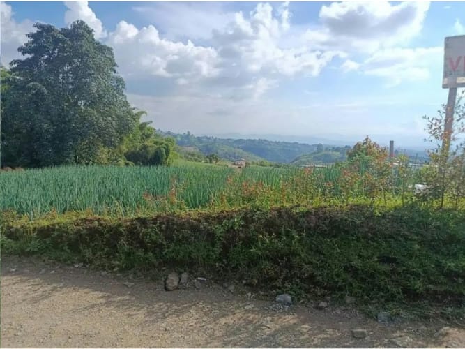 Lote en venta en La Bella, Pereira, 2000 m² · foto 8 de 12