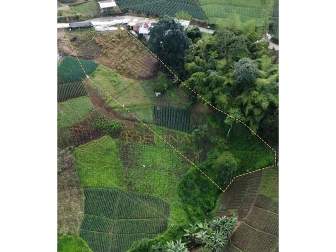 Lote en venta en La Bella, Pereira, 2000 m² · foto 11 de 12