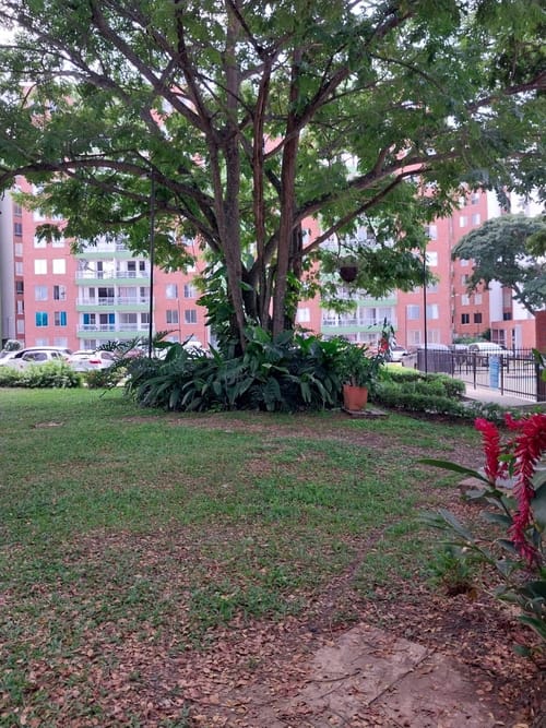 Apartamento de 2 alcobas en arriendo en Bochalema, Cali, 63 m² · foto 21 de 22