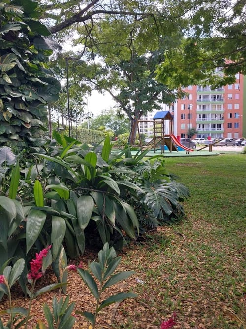 Apartamento de 2 alcobas en arriendo en Bochalema, Cali, 63 m² · foto 22 de 22