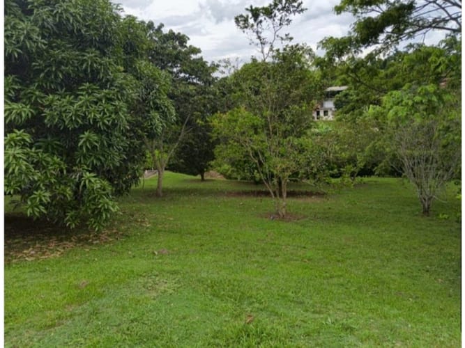Casa de 4 alcobas en venta en Condina, Pereira, 255 m² · foto 10 de 10