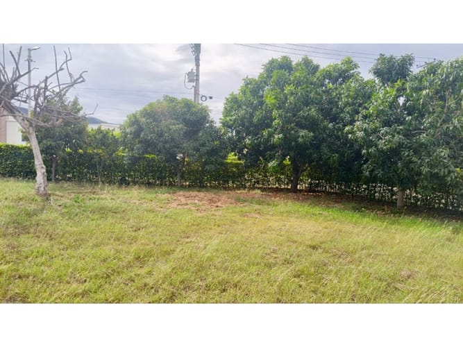 Lote en venta en Cuisinde, Neiva, 1213 m² · foto 7 de 9