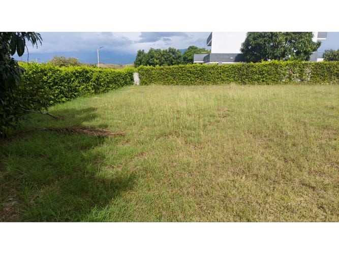 Lote en venta en Cuisinde, Neiva, 1213 m² · foto 8 de 9