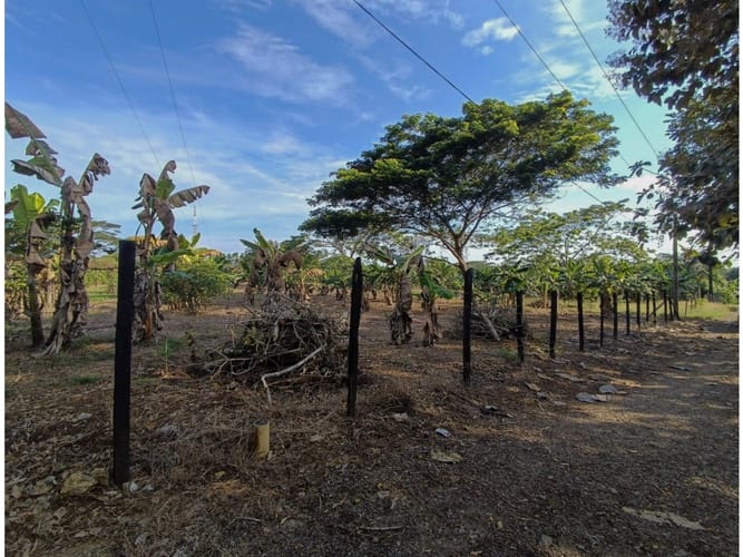Lote en venta en Santa Lucia, Montería, 2262 m² · foto 4 de 8