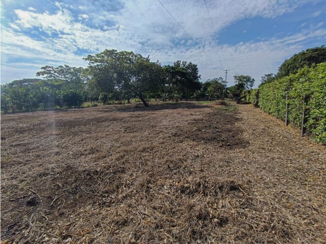 Lote en venta en Santa Lucia, Montería, 2262 m² · foto 5 de 8