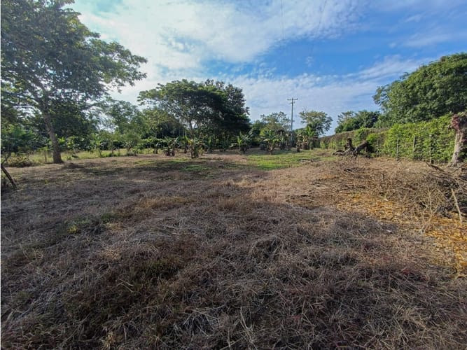 Lote en venta en Santa Lucia, Montería, 2262 m² · foto 6 de 8