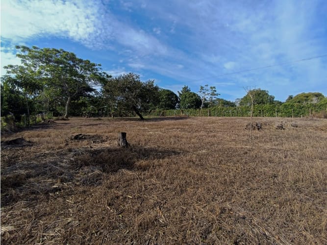Lote en venta en Santa Lucia, Montería, 2262 m² · foto 7 de 8
