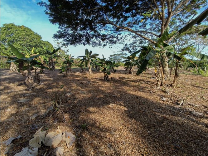 Lote en venta en Santa Lucia, Montería, 2262 m² · foto 8 de 8