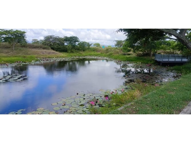 Lote en venta en Amborco, Neiva, 563 m² · foto 2 de 10