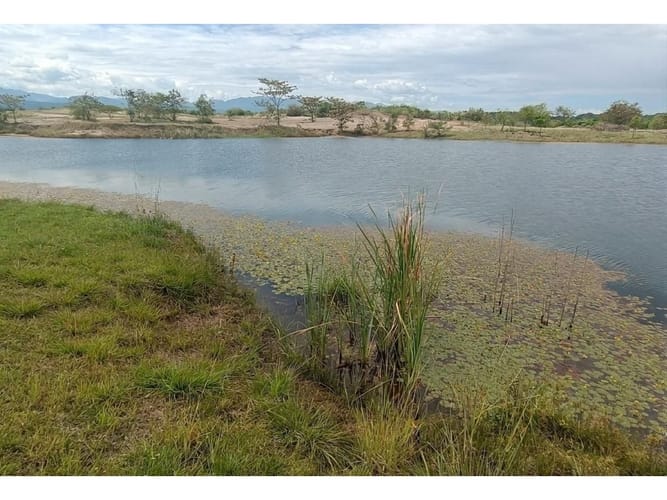 Lote en venta en Amborco, Neiva, 563 m² · foto 3 de 10