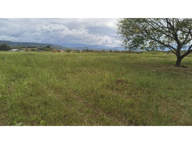 Lote en venta en Amborco, Neiva, 563 m² · foto 5 de 10