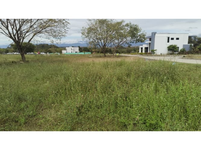 Lote en venta en Amborco, Neiva, 563 m² · foto 6 de 10
