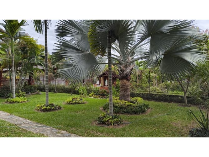 Casa de 4 alcobas en venta en Pedregal, Neiva, 270 m² · foto 4 de 24
