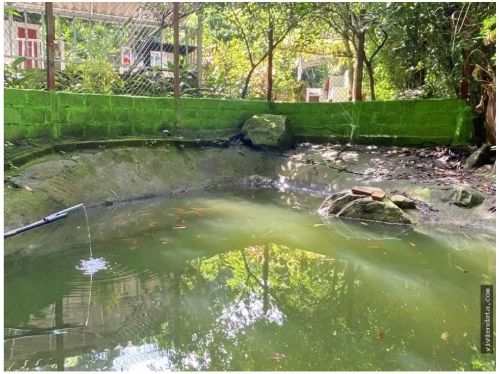 Finca en venta en Corregimiento De Minca, Santa Marta, 25000 m² · foto 19 de 23