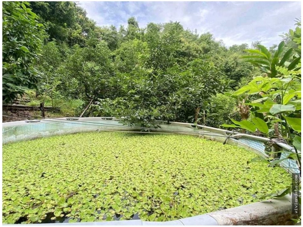 Finca en venta en Corregimiento De Minca, Santa Marta, 25000 m² · foto 20 de 23