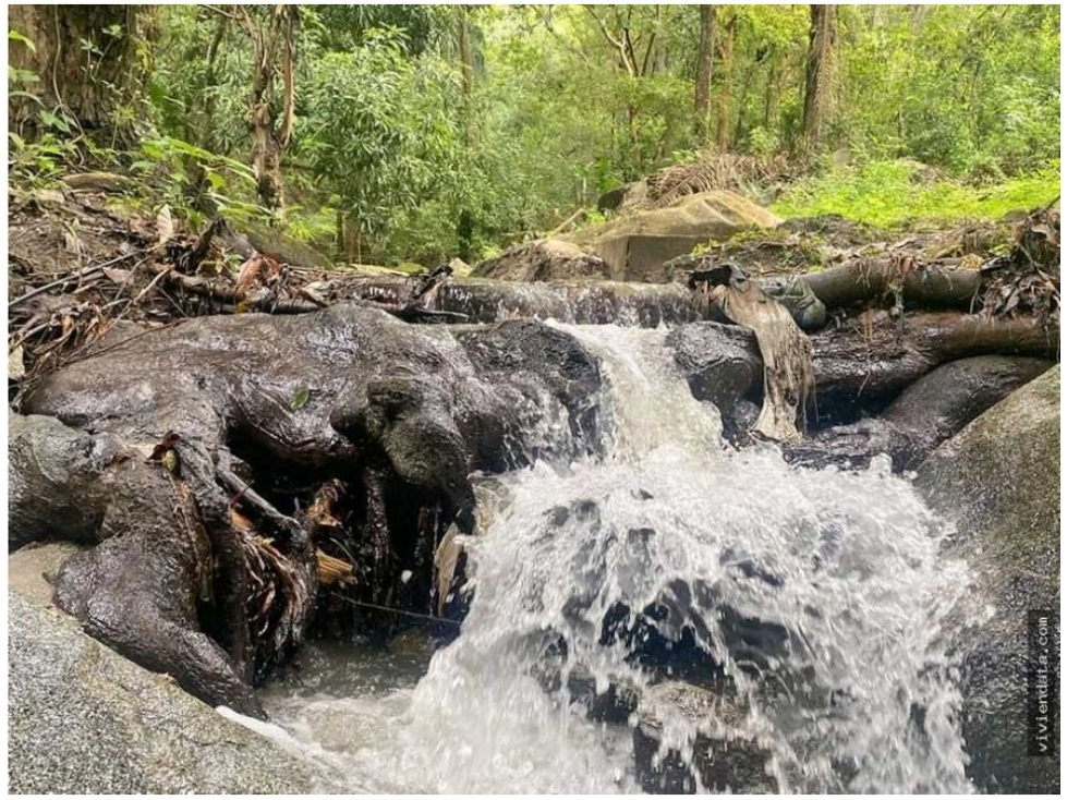 Finca en venta en Corregimiento De Minca, Santa Marta, 25000 m² · foto 22 de 23