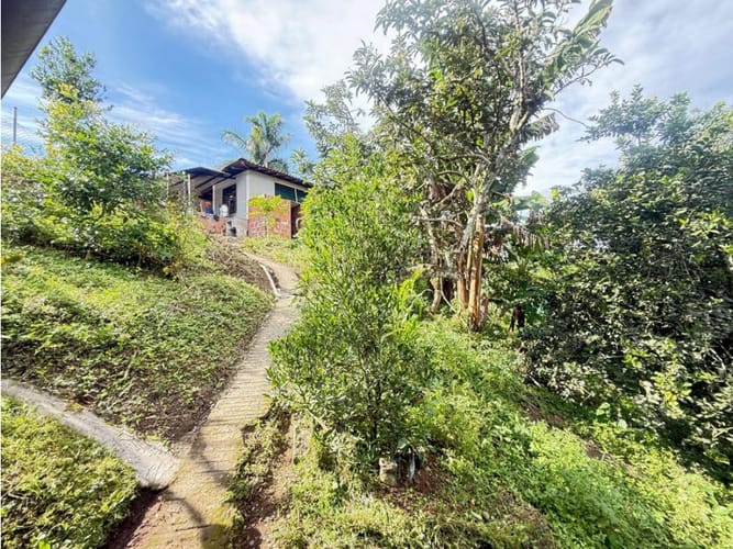 Finca en venta en Combia, Pereira, 1000 m² · foto 23 de 24
