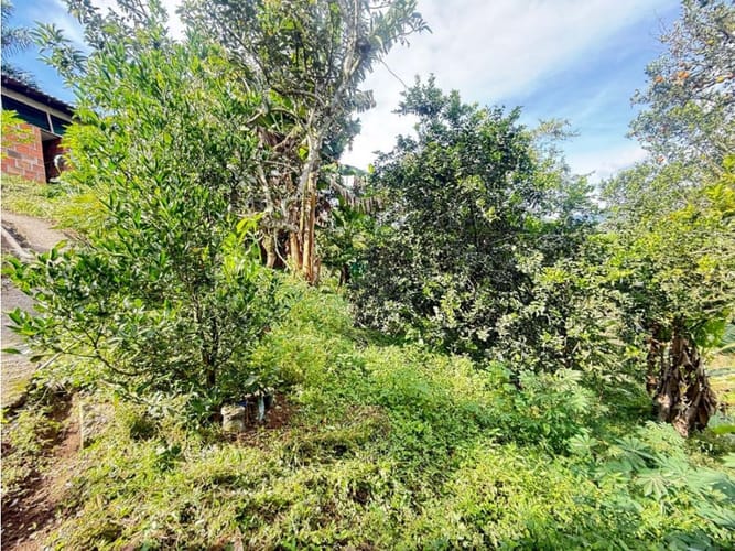 Finca en venta en Combia, Pereira, 1000 m² · foto 24 de 24