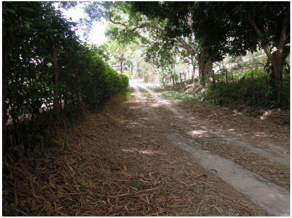 Lote en venta en Corregimiento De Minca, Santa Marta, 200 m² · foto 21 de 24