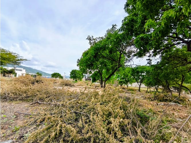 Lote en venta en Bello Horizonte, Santa Marta, 435 m² · foto 2 de 9