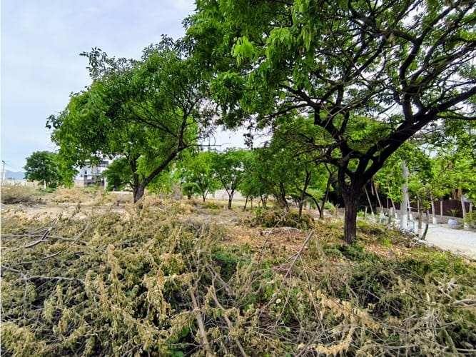 Lote en venta en Bello Horizonte, Santa Marta, 435 m² · foto 6 de 9