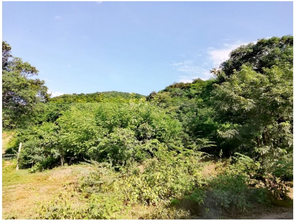 Lote en venta en Corregimiento De Bonda, Santa Marta, 2000 m² · foto 5 de 17
