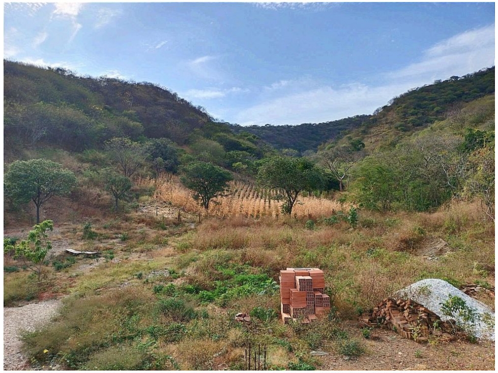 Lote en venta en Corregimiento De Bonda, Santa Marta, 2000 m² · foto 6 de 17