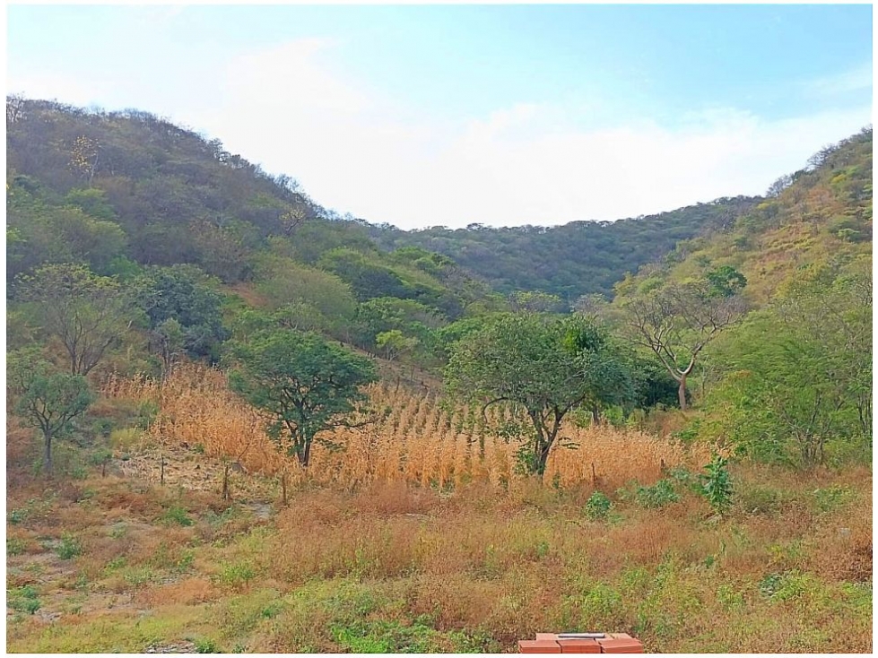 Lote en venta en Corregimiento De Bonda, Santa Marta, 2000 m² · foto 7 de 17