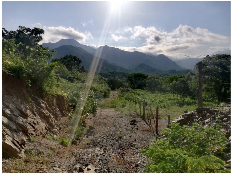 Lote en venta en Corregimiento De Bonda, Santa Marta, 2000 m² · foto 8 de 17