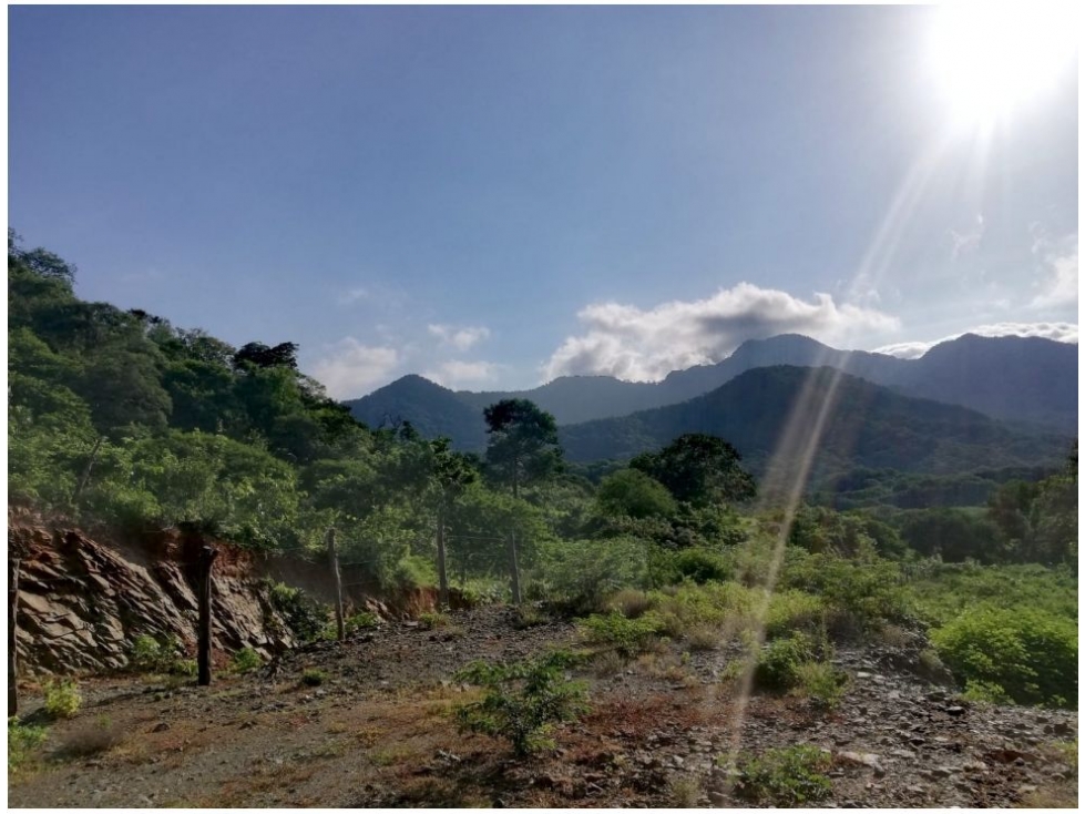 Lote en venta en Corregimiento De Bonda, Santa Marta, 2000 m² · foto 9 de 17