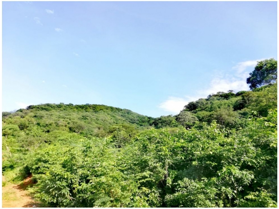 Lote en venta en Corregimiento De Bonda, Santa Marta, 2000 m² · foto 12 de 17