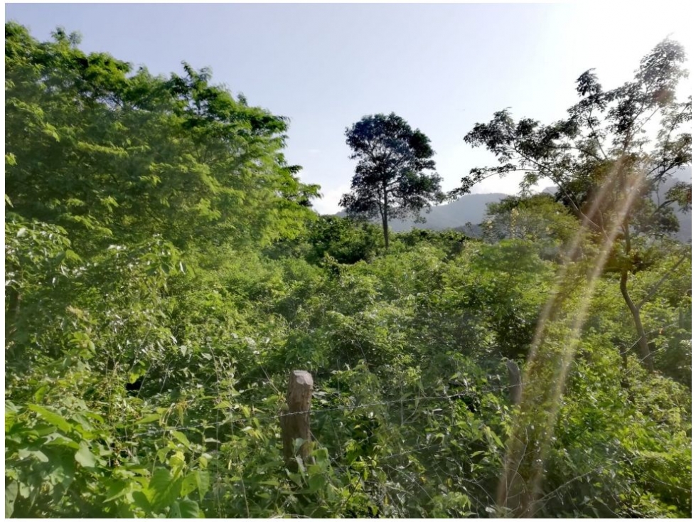 Lote en venta en Corregimiento De Bonda, Santa Marta, 2000 m² · foto 13 de 17