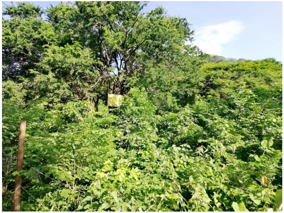 Lote en venta en Corregimiento De Bonda, Santa Marta, 2000 m² · foto 14 de 17