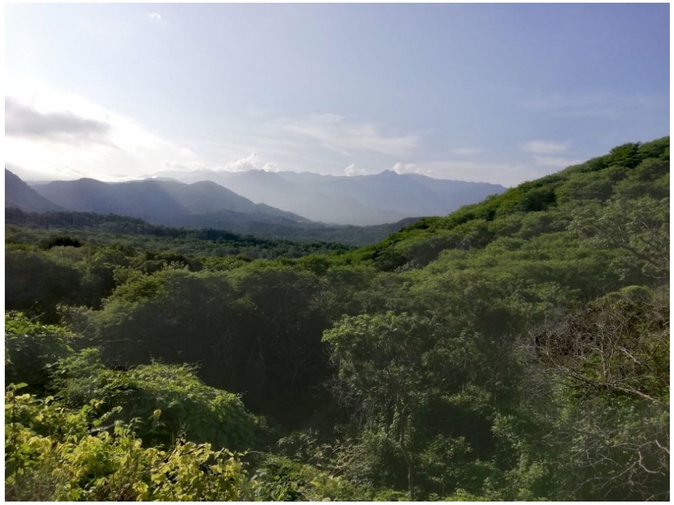 Lote en venta en Corregimiento De Bonda, Santa Marta, 2000 m² · foto 15 de 17