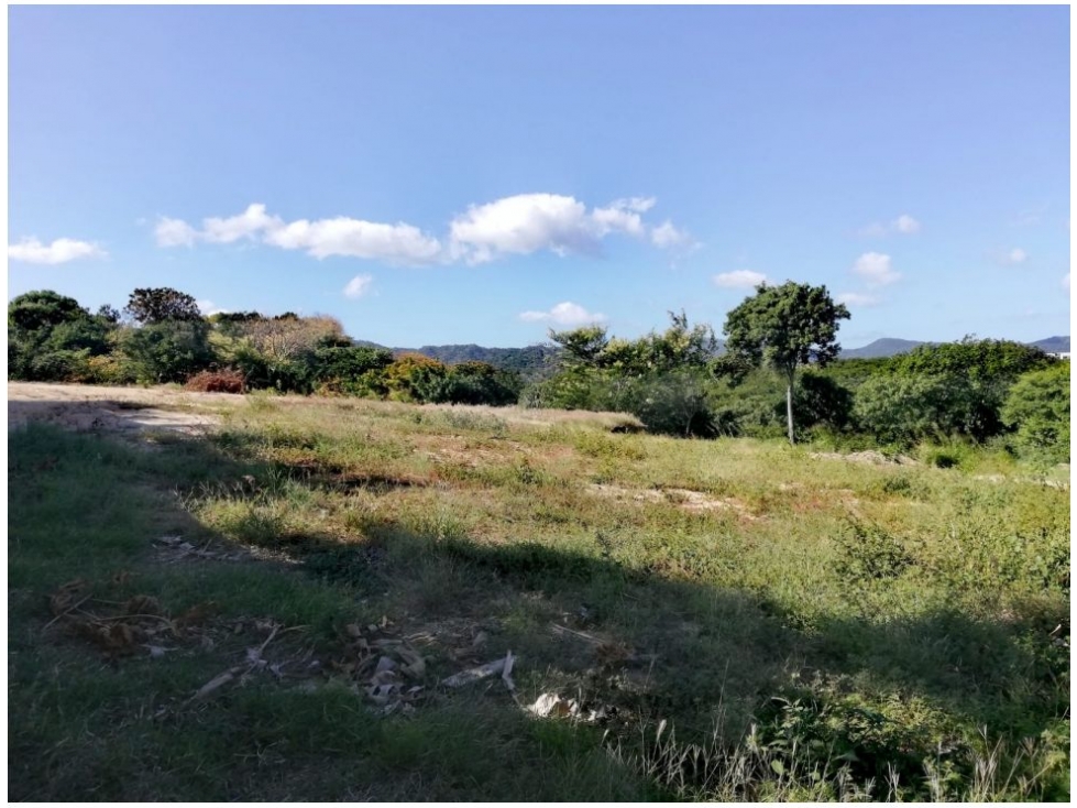 Lote en venta en Bonda, Santa Marta, 709 m² · foto 3 de 16