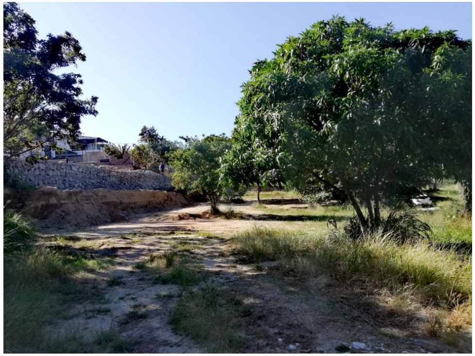 Lote en venta en Bonda, Santa Marta, 709 m² · foto 5 de 16